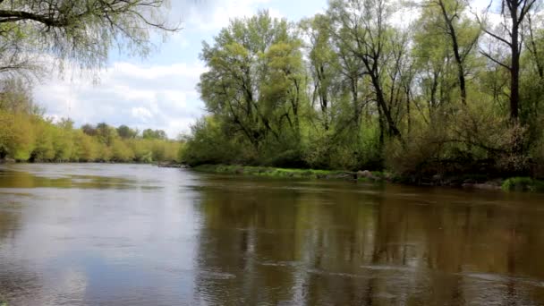 Stream on the river — Stock Video