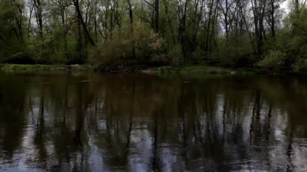 Поток на реке — стоковое видео