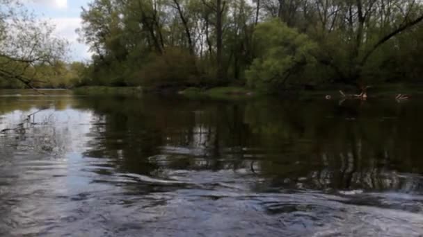 Ρεύμα στις όχθες του ποταμού — Αρχείο Βίντεο