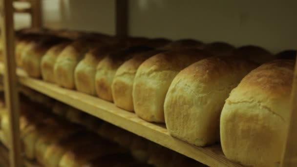 准备好的面包 — 图库视频影像