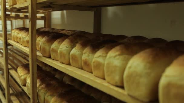 准备好的面包 — 图库视频影像