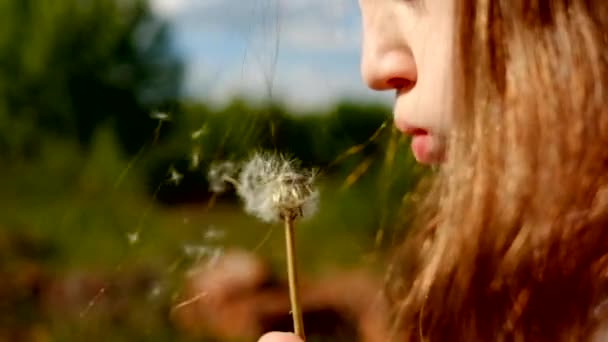 Little girl with flower — Stock Video