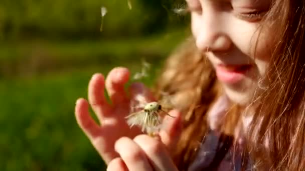 Niña con flor — Vídeo de stock