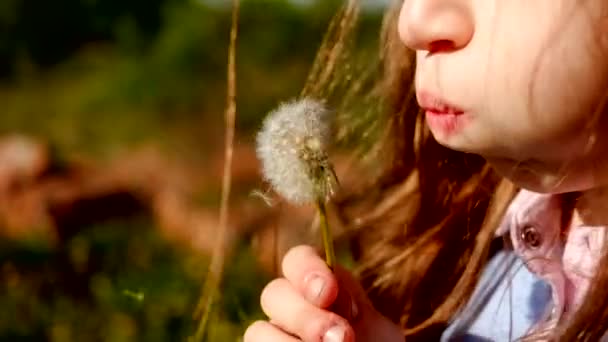Malá dívka s květinou — Stock video