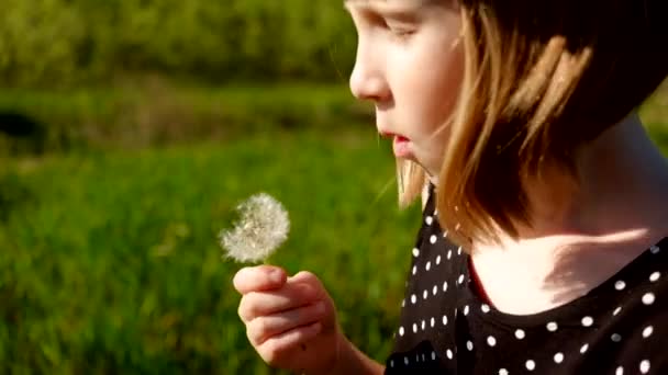 Kleines Mädchen mit Blume — Stockvideo