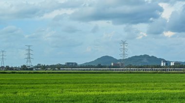 Kulon Progo, Yogyakarta 'daki devasa yeşil pirinç tarlası. Elektrik hatları ve bulutlu bir dağ zeminiyle.