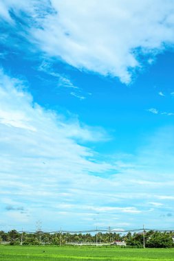 Kulon Progo, Yogyakarta 'daki devasa yeşil pirinç tarlası. Elektrik hatları ve bulutlu bir dağ zeminiyle.