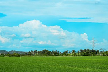 Kulon Progo, Yogyakarta 'daki devasa yeşil pirinç tarlası. Elektrik hatları ve bulutlu bir dağ zeminiyle.
