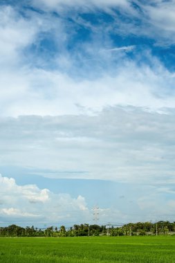 Kulon Progo, Yogyakarta 'daki devasa yeşil pirinç tarlası. Elektrik hatları ve bulutlu bir dağ zeminiyle.