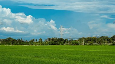 Kulon Progo, Yogyakarta 'daki devasa yeşil pirinç tarlası. Elektrik hatları ve bulutlu bir dağ zeminiyle.