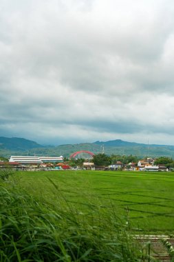 Kendal Java 'da İkonik Kırmızı Köprü Tarihi ve Dağ Arkaplanlı Yeşil Pirinç Tarlaları