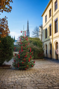 LINZ, AUSTRIA - 22 Kasım 2025: Advent 'in başındaki şehir sokakları