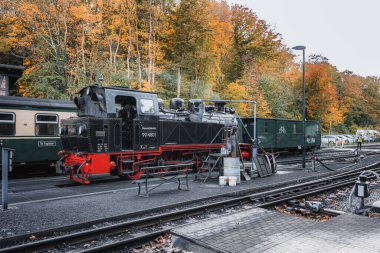 Gohren, Almanya - 30 Ekim 2025 Rasender Roland dar ölçülü demiryolu manzarası, turistik bir yer. Rgen adasında buharla çalışan dar bir demiryolu..