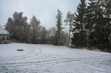Kış kırsal arazisi. Kar, çayır, ağaçlar. Sumava, Çek Cumhuriyeti.