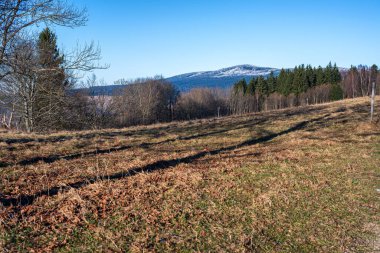 Winter mountain landscape without snow, Orlicke Mountains, Czech Republic.
