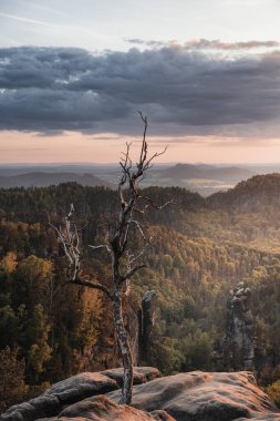 Gün batımında heyecan verici Patikalar ve Manzaralar: Wilde Hlle ve Carolafelsen, Sakson İsviçre (Schsische Schweiz)