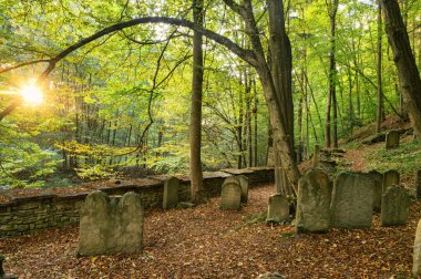 Podbrezi, Çek Cumhuriyeti - 10 Ekim 2024: Podbrezi, Çek Cumhuriyeti 'ndeki eski Yahudi orman mezarlığı, antik mezar taşları ve İbranice yazıtlarla.