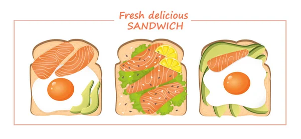 一套美味的新鲜三明治和面包 包括一个煎蛋 奶酪和芝麻籽 一个健康早餐的病媒例证 健康的生活方式 — 图库矢量图片