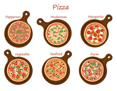 Arka planda izole edilmiş bir pizza seti. Pepperoni, mantar, Margarita, sebze, deniz ürünleri, çiftlik. Pizzanın menü, poster, reklam, pankart, web sitesi, afiş için vektör çizimleri.