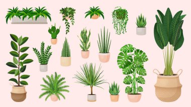 Set of houseplants in a pots for home, office, premises decor. Colorful vector collection of illustrations isolated on pink background. Trendy home decor with plants, urban jungle. clipart