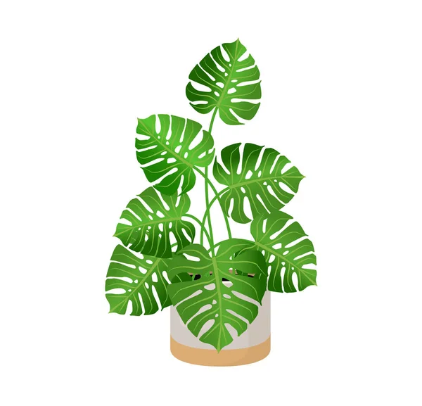 Plante Intérieur Monstera Dans Pot Pour Décoration Intérieure Maison Bureau — Image vectorielle