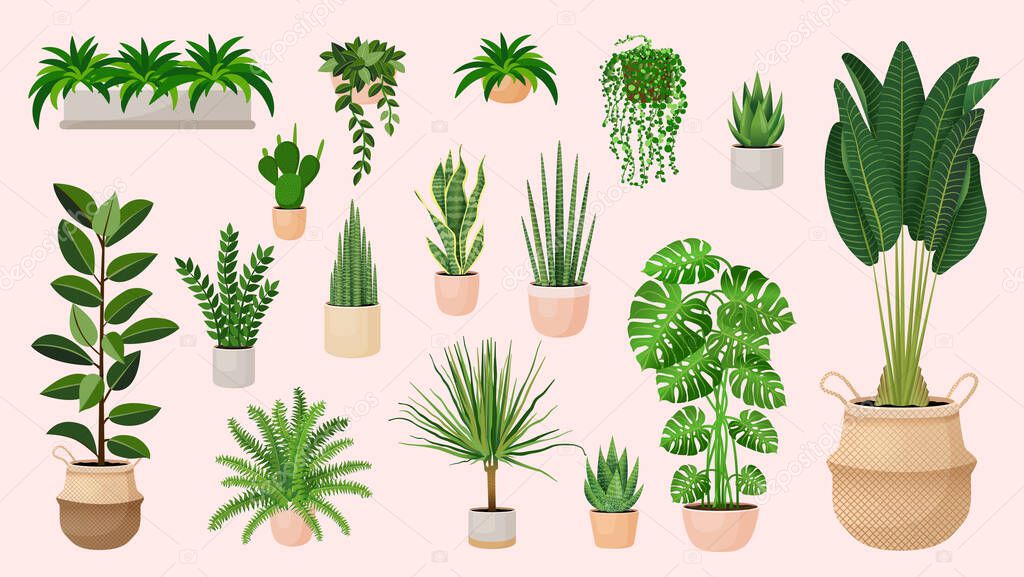 Set of houseplants in a pots for home, office, premises decor. Colorful vector collection of illustrations isolated on pink background. Trendy home decor with plants, urban jungle.