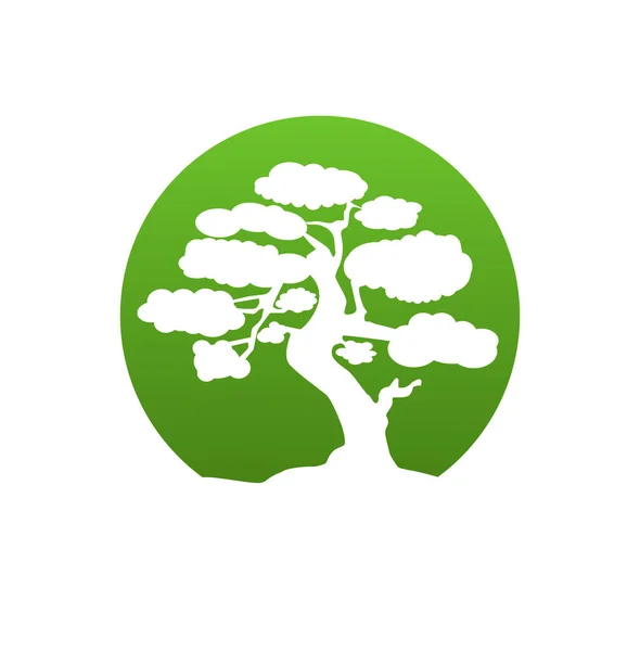 Bonsai Japonês Logotipo Redondo Verde Ícone Árvore Bonsai Silhueta Vetor — Vetor de Stock