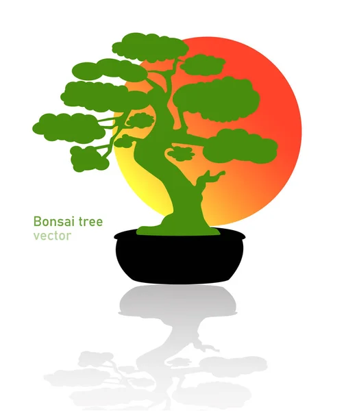 日本盆景树 绿色的标志 象征着一个树上的花盆 背景是太阳 盆景轮廓矢量插图在孤立的白色背景 生态学 生物概念 设计模板 — 图库矢量图片
