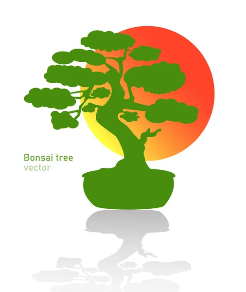 Bonsái Japonés Logo Verde Icono Árbol Una Maceta Sobre Fondo — Vector de stock