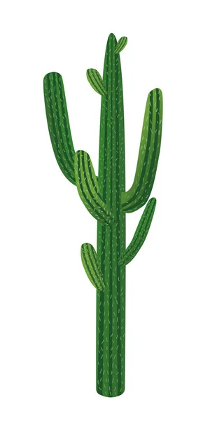 Immense Illustration Vectorielle Plantes Cactus Vert Dans Pot Fleurs Brun — Image vectorielle