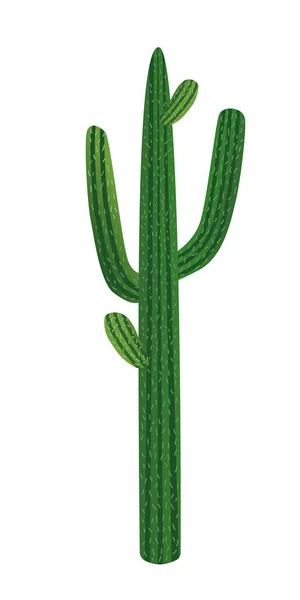 Grand cactus du désert. Illustration vectorielle d'une plante sur un fond blanc isolé. — Image vectorielle