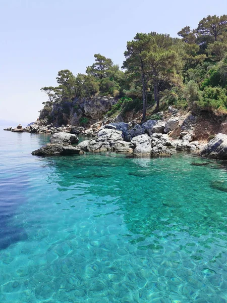 蔚蓝的海岸 岩石和松树的美丽景色 爱琴海 土耳其Kusadasi — 图库照片
