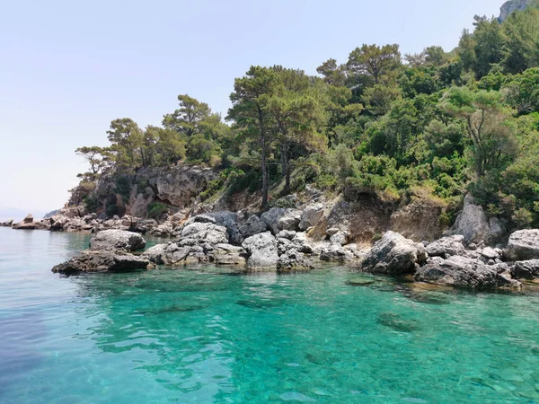 Prachtig Uitzicht Azuurblauwe Kust Rotsen Pijnbomen Egeïsche Zee Turkije Kusadasi — Stockfoto