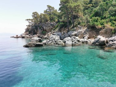 Gök mavisi kıyı manzarası, kayalar ve çam ağaçları. Ege Denizi. Türkiye, Kusadasi