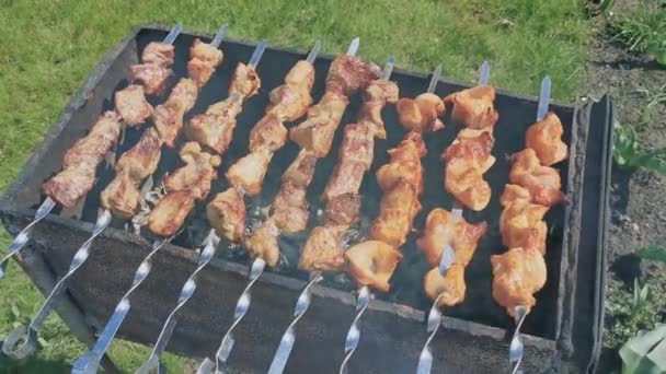 Process Cooking Delicious Shish Kebab Metal Skewer Summer Outdoors Weekend — Stock Video