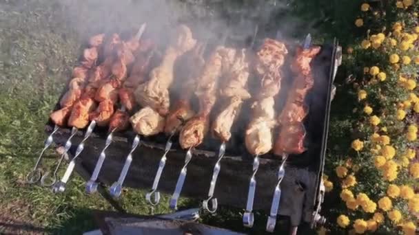 夏天在户外用金属棒烤美味的什锦烤面包 周末野餐 街头食物 火上的猪肉和鸡肉 在烤肉烤架上烤什锦 烧烤及烧烤 — 图库视频影像