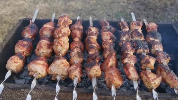 Prosessi Ruoanlaitto Herkullinen Shish Kebab Metalli Vartaassa Kesällä Ulkona Viikonlopun — kuvapankkivideo