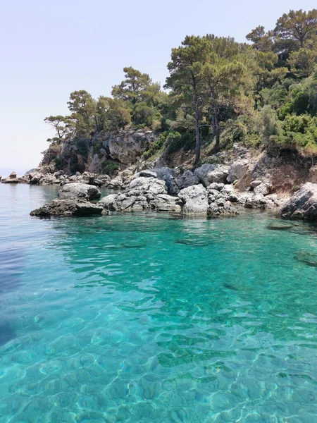 蔚蓝的海岸 岩石和松树的美丽景色 爱琴海 土耳其Kusadasi — 图库照片