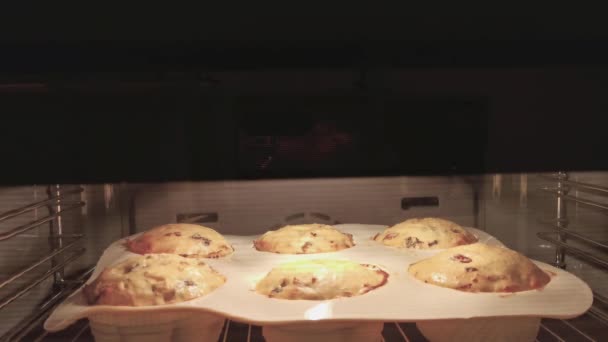Muffins Bakken Oven Time Lapse Fotografie Van Het Maken Van — Stockvideo