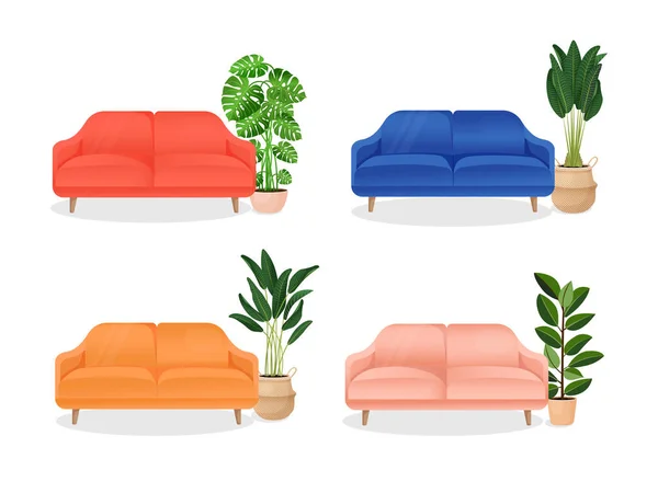 Ensemble Canapé Coloré Avec Plante Maison Ficus Monstera Sur Fond — Image vectorielle