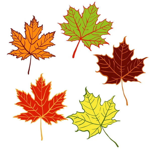 Desenho animado folha de outono conjunto — Vetor de Stock
