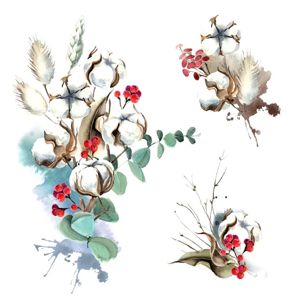Ensemble bouquet aquarelle eucalyptus et coton — Photo