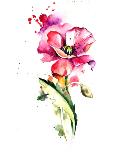 Akvarel Umělecké Květinové složení Poppy — Stock fotografie