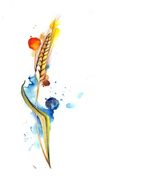 Watercolor Artistic Flower Composition Spikelet — 图库照片