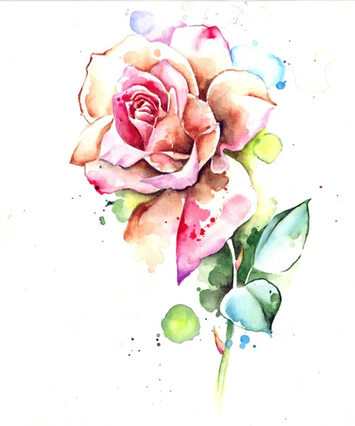 Aquarelle Artistique Composition Fleur Rose — Photo