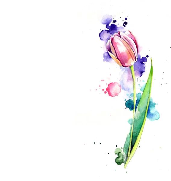 Aquarelle Artistique Composition Fleur Tulipe — Photo