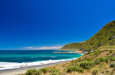 Red Rocks Owhiro Bay Wellington 