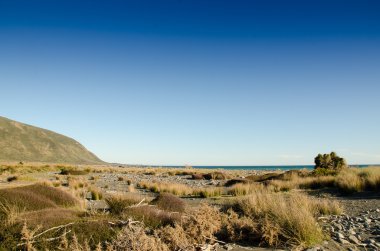 Wainuiomata Plajı'na bakan