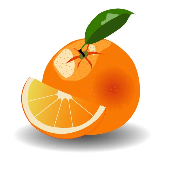Orange fruit on white background — Stock Vector