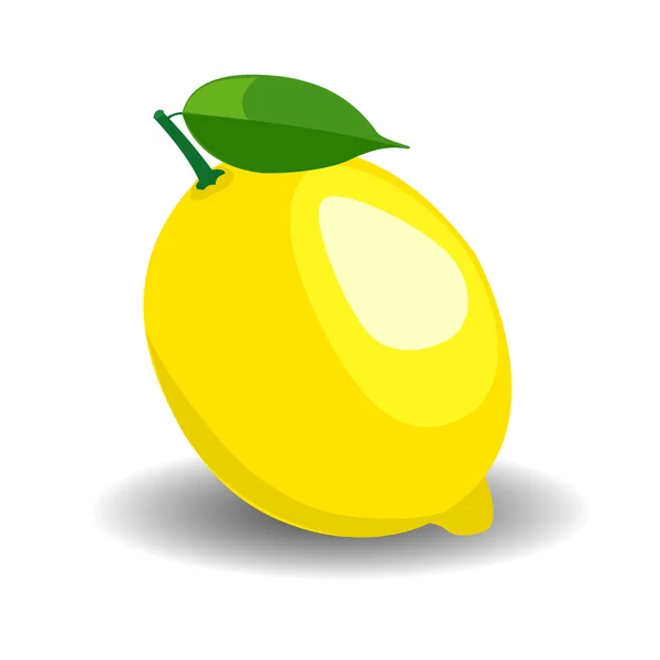 Limones frescos vector ilustración — Vector de stock